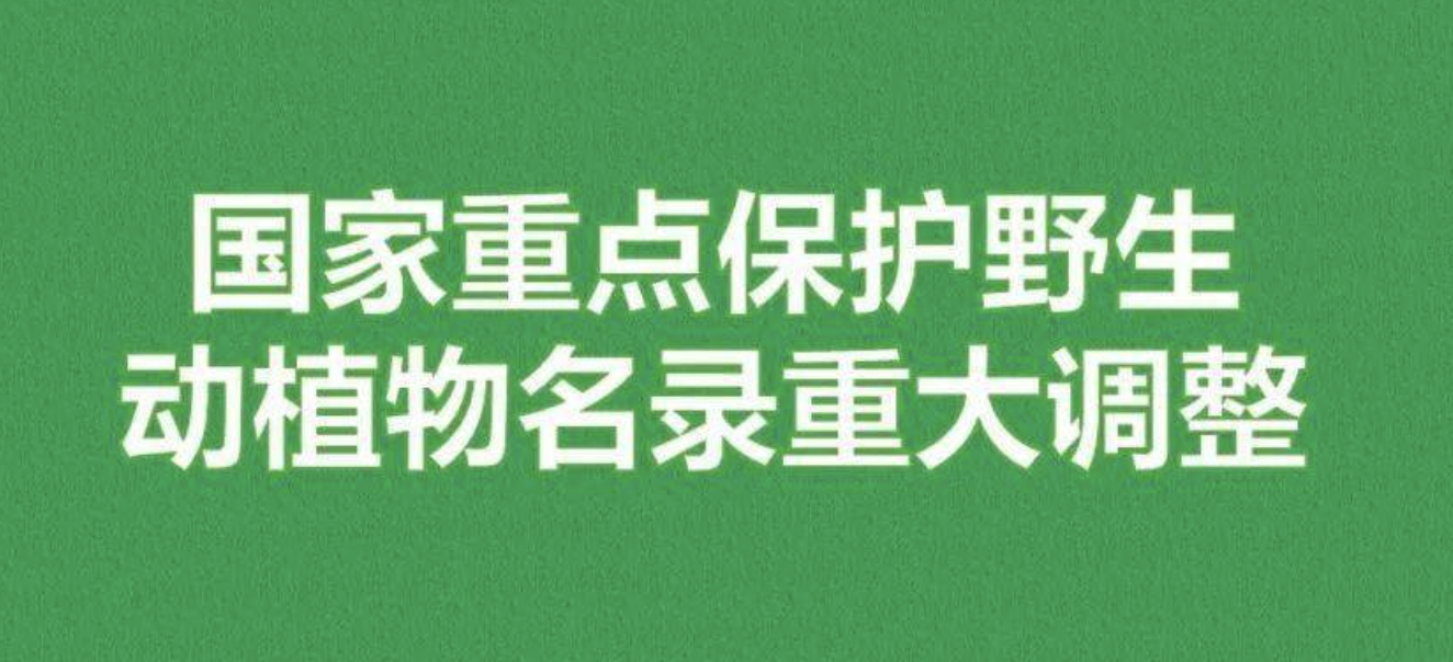 重磅！新版國(guó)家重點(diǎn)保護(hù)野生植物名錄公布，58種/屬列入一級(jí)保護(hù)，值得收藏